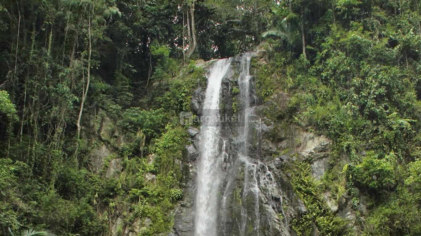 hutan pinus gorontalo