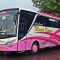 harga tiket bus madu kismo