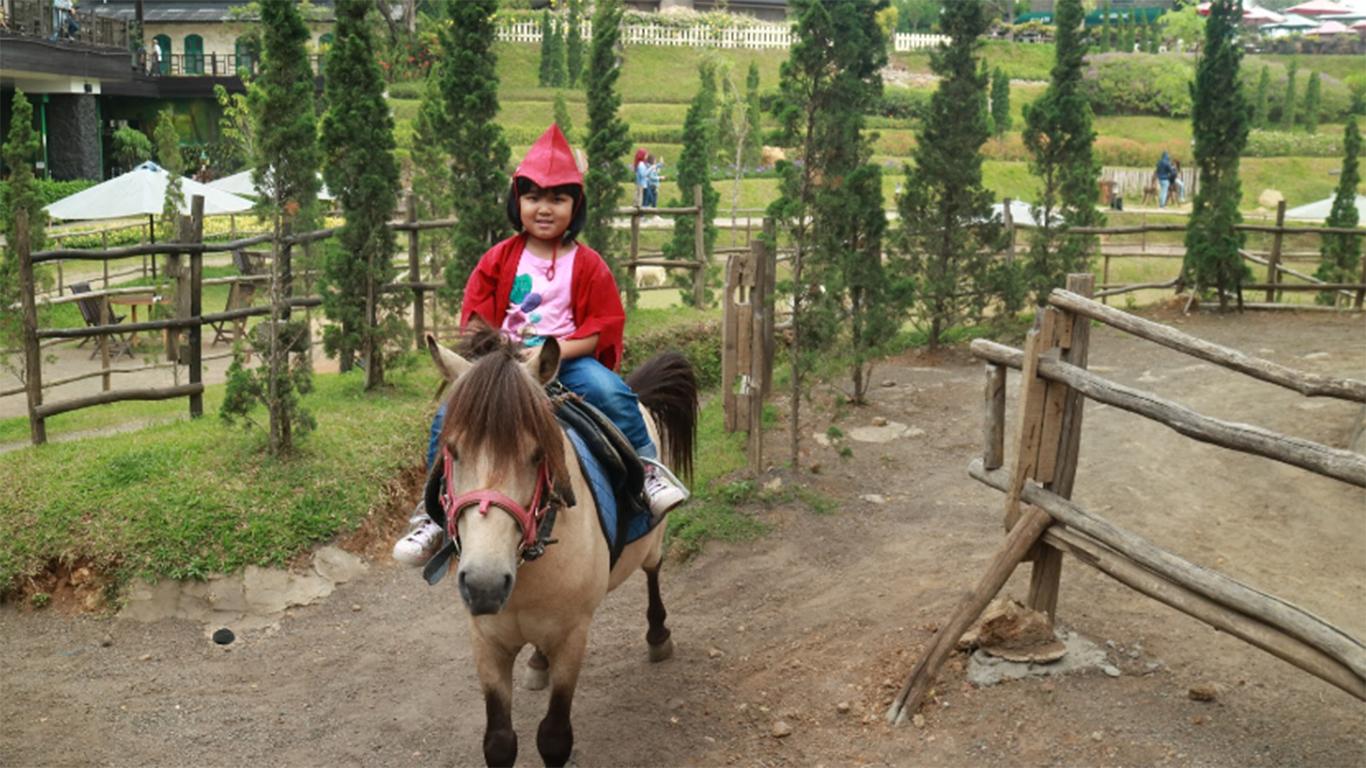 Berkuda di Taman Kelinci Ciwidey