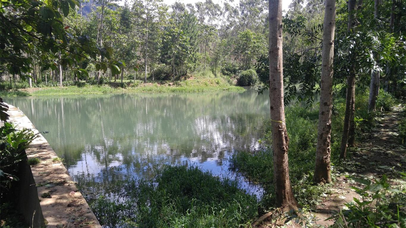 Danau Buatan