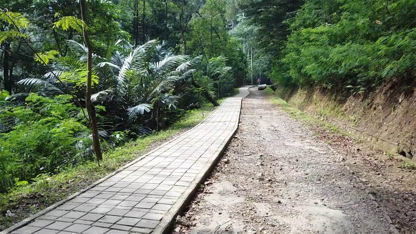 Hiking Taman Hutan Raya Ir. H. Djuanda