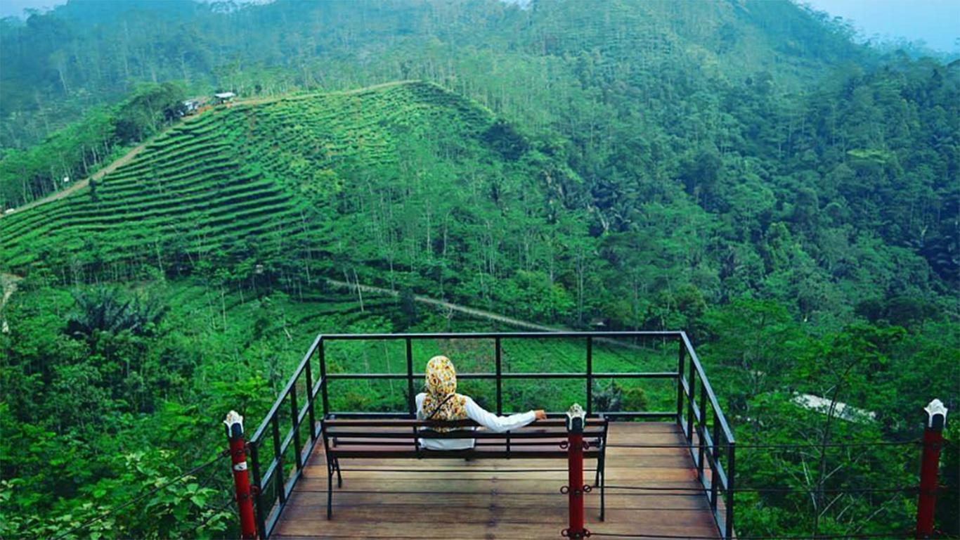 Kebun Teh Nglinggo