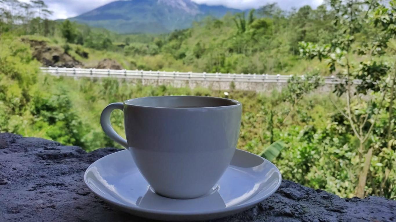 Kopi Merapi