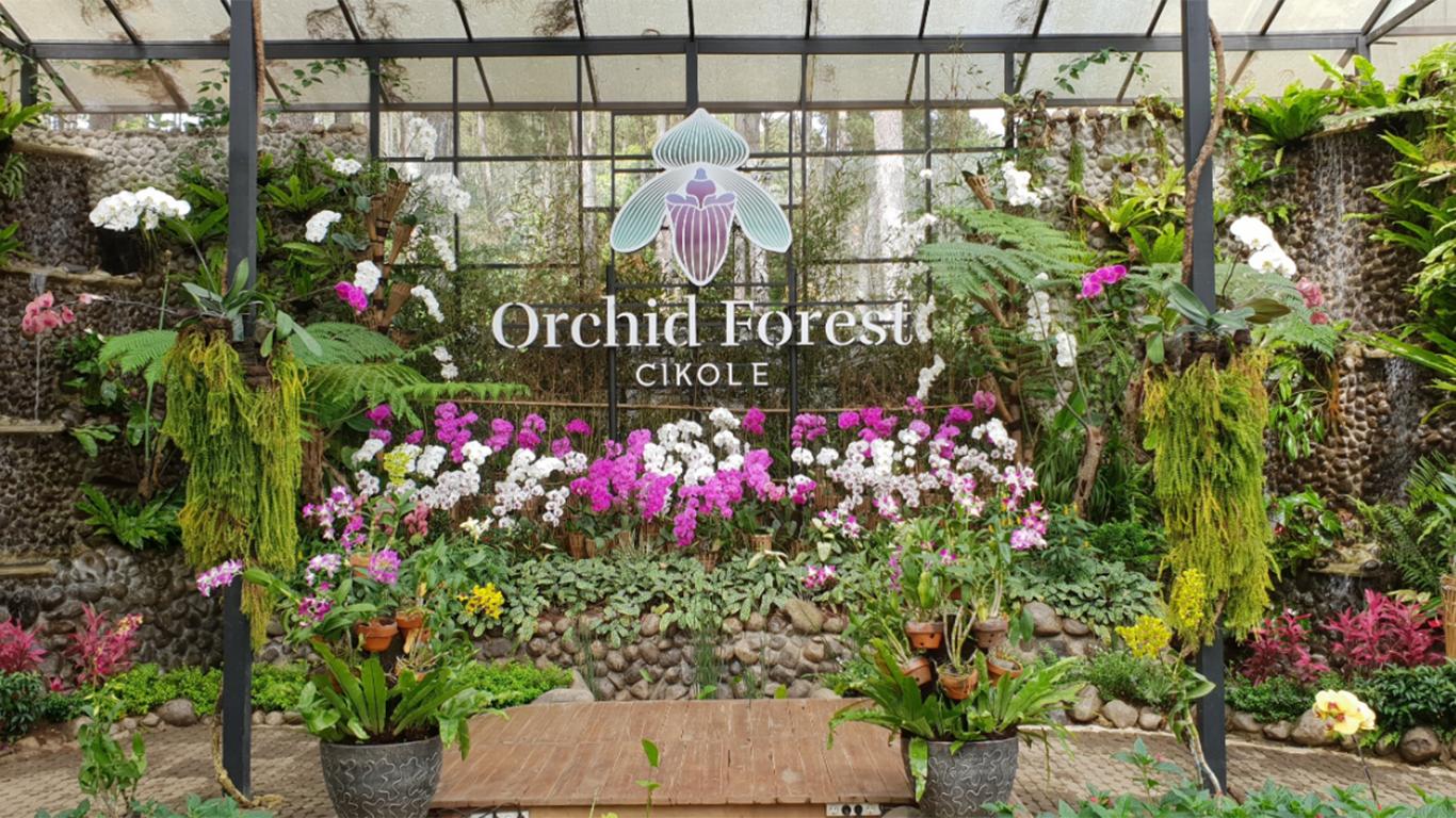 Orchid Castle