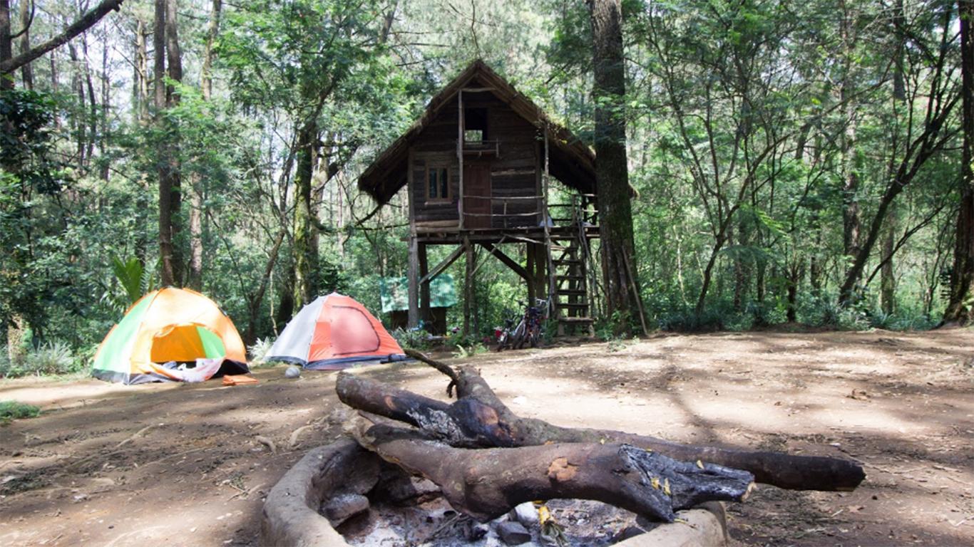 Rumah Pohon Taman Buru Masigit Kareumbi