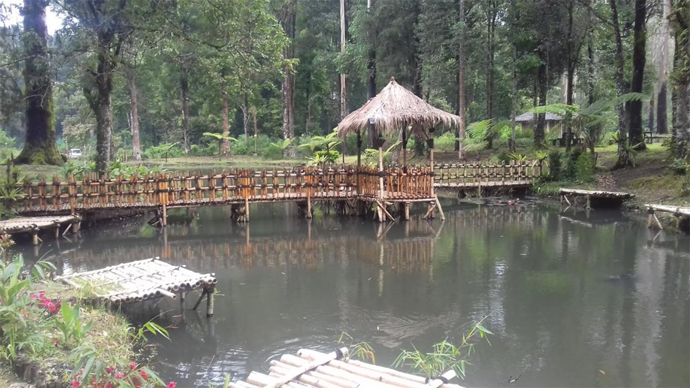 kolam pemancingan