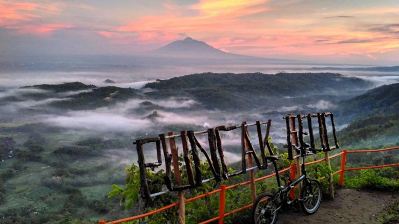 puncak pinus becici