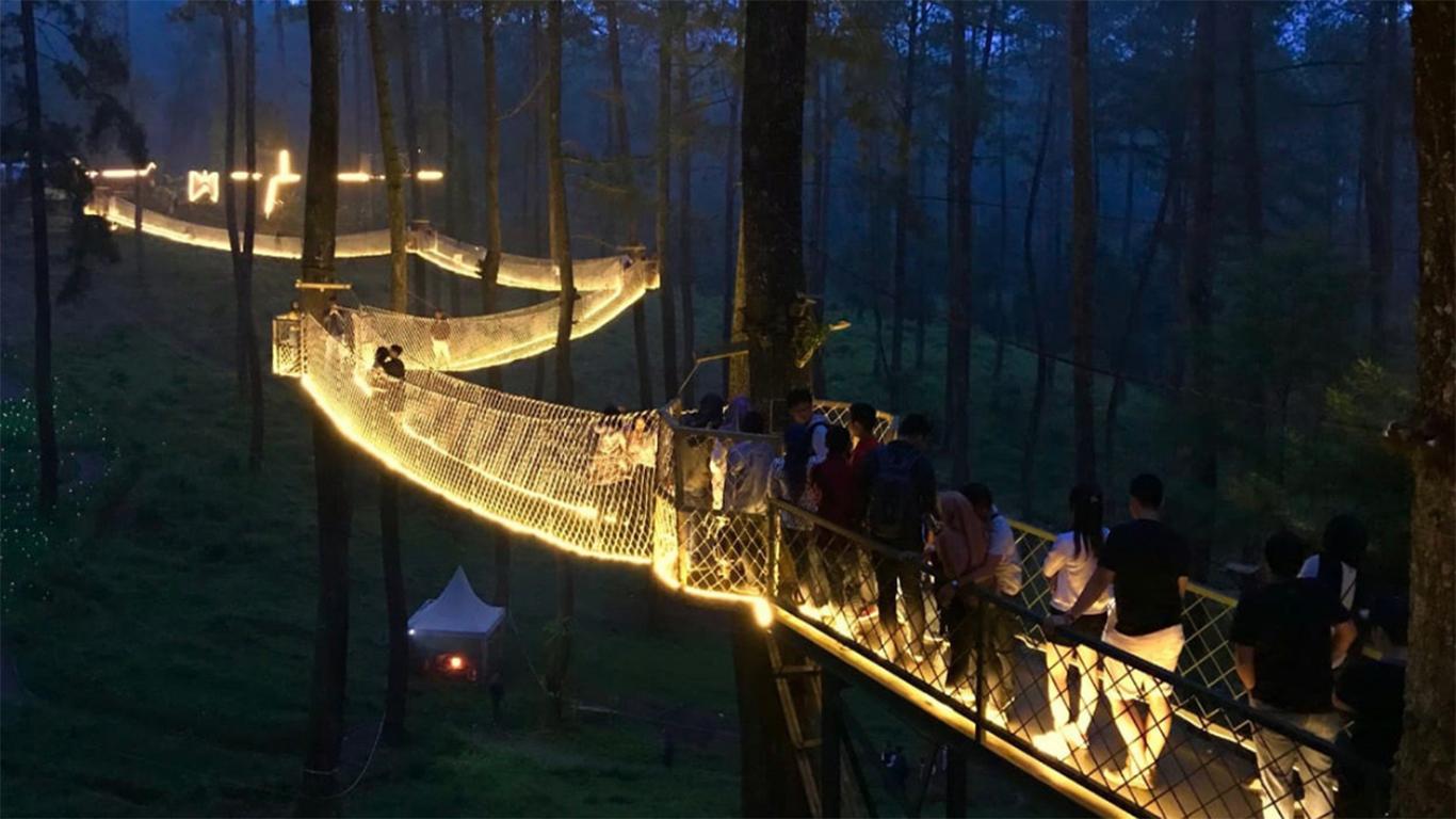 sky bridge orchid forest cikole