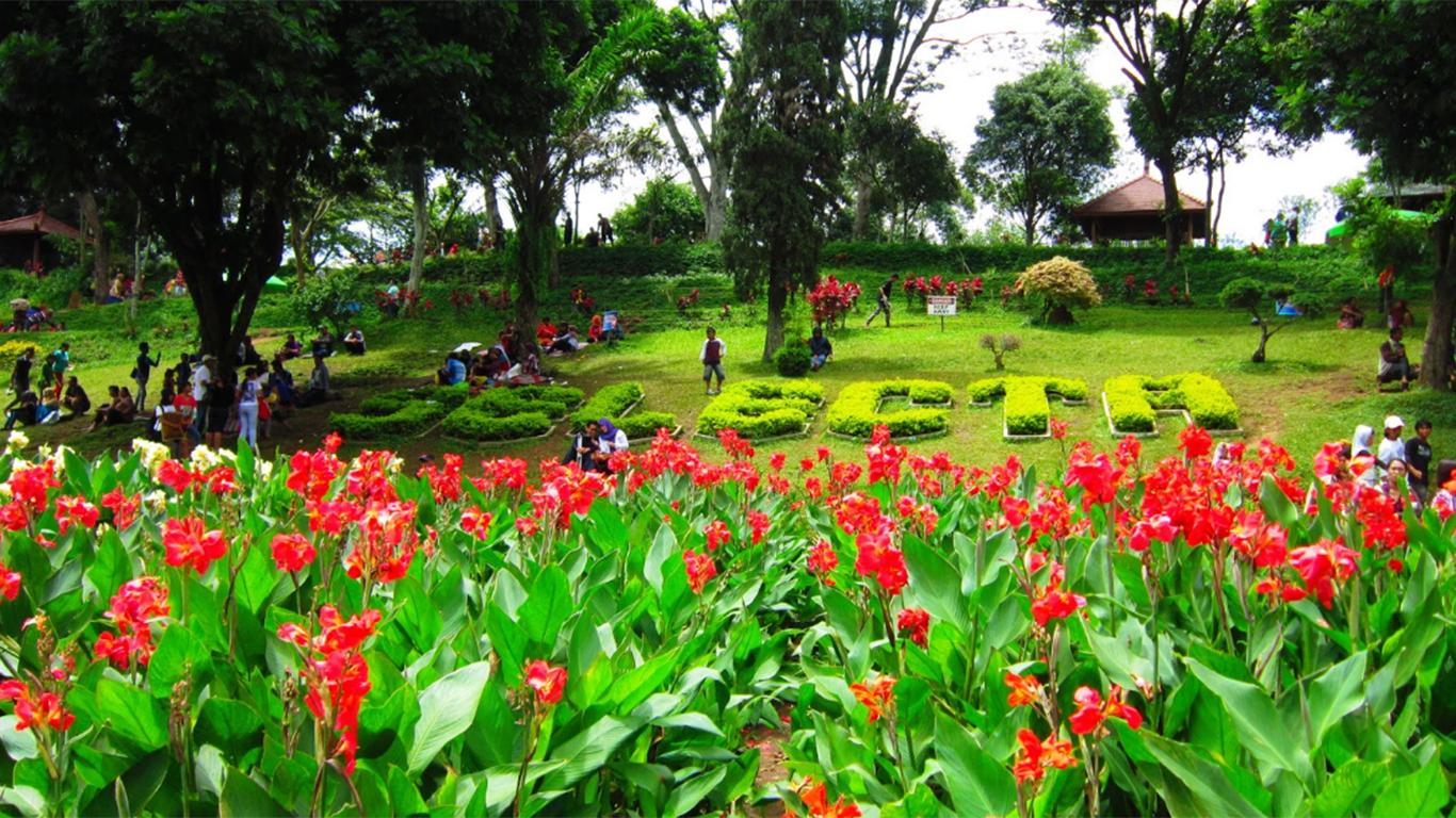 taman bunga cihideung bandung