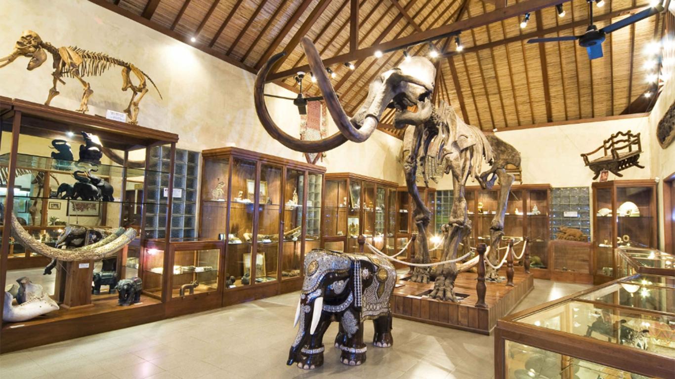 Museum and Elephant Discovery Information Centre