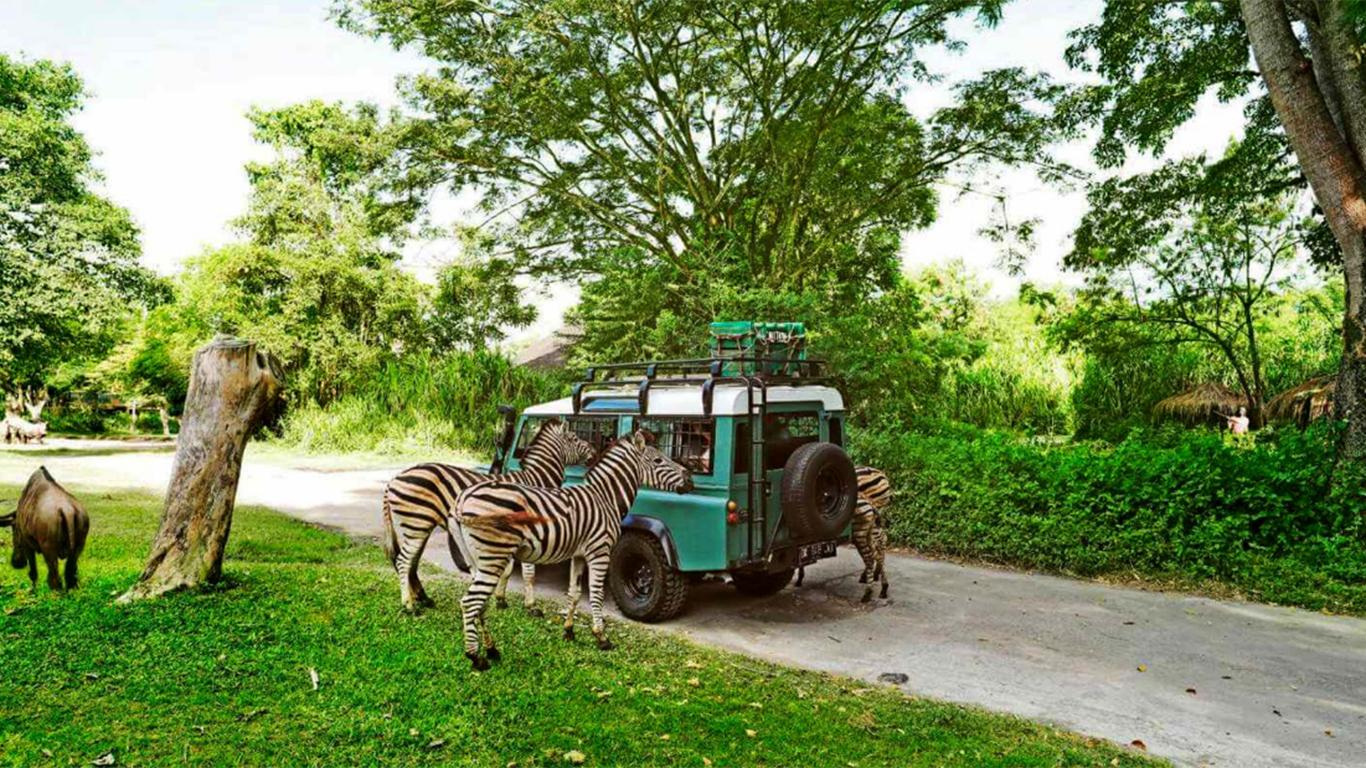 bali safari and marine park price