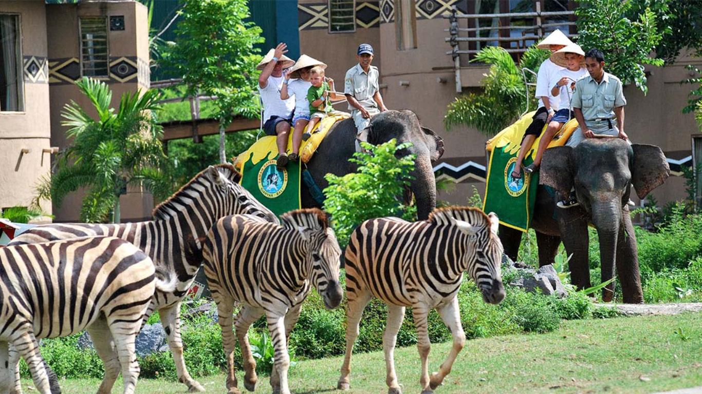 bali safari and marine park review