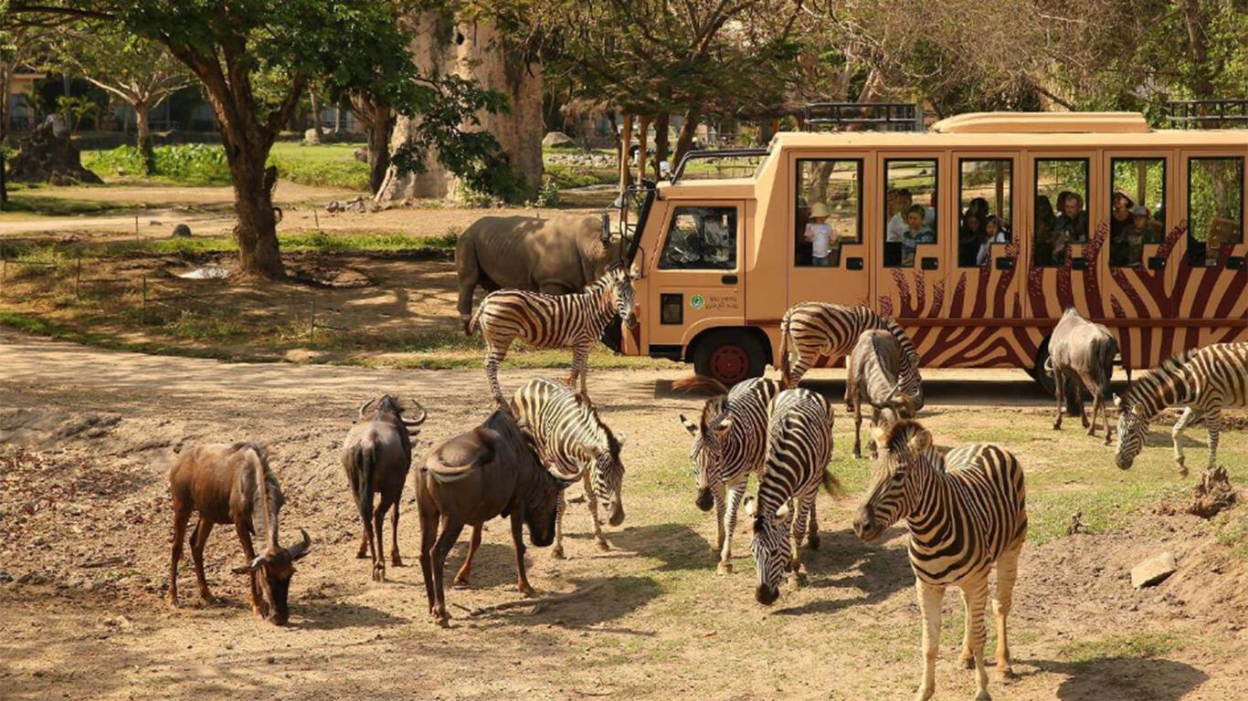 bali safari and marine park