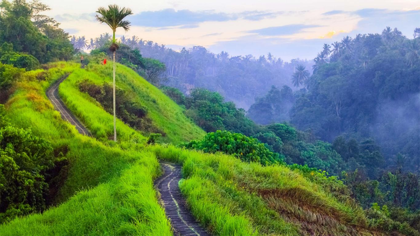 bukit bali