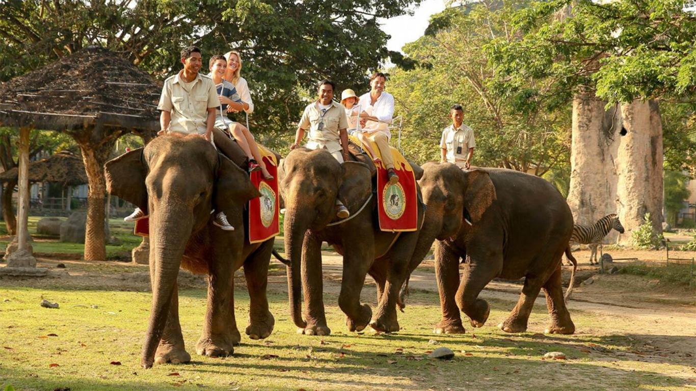 elephant safari park lodge