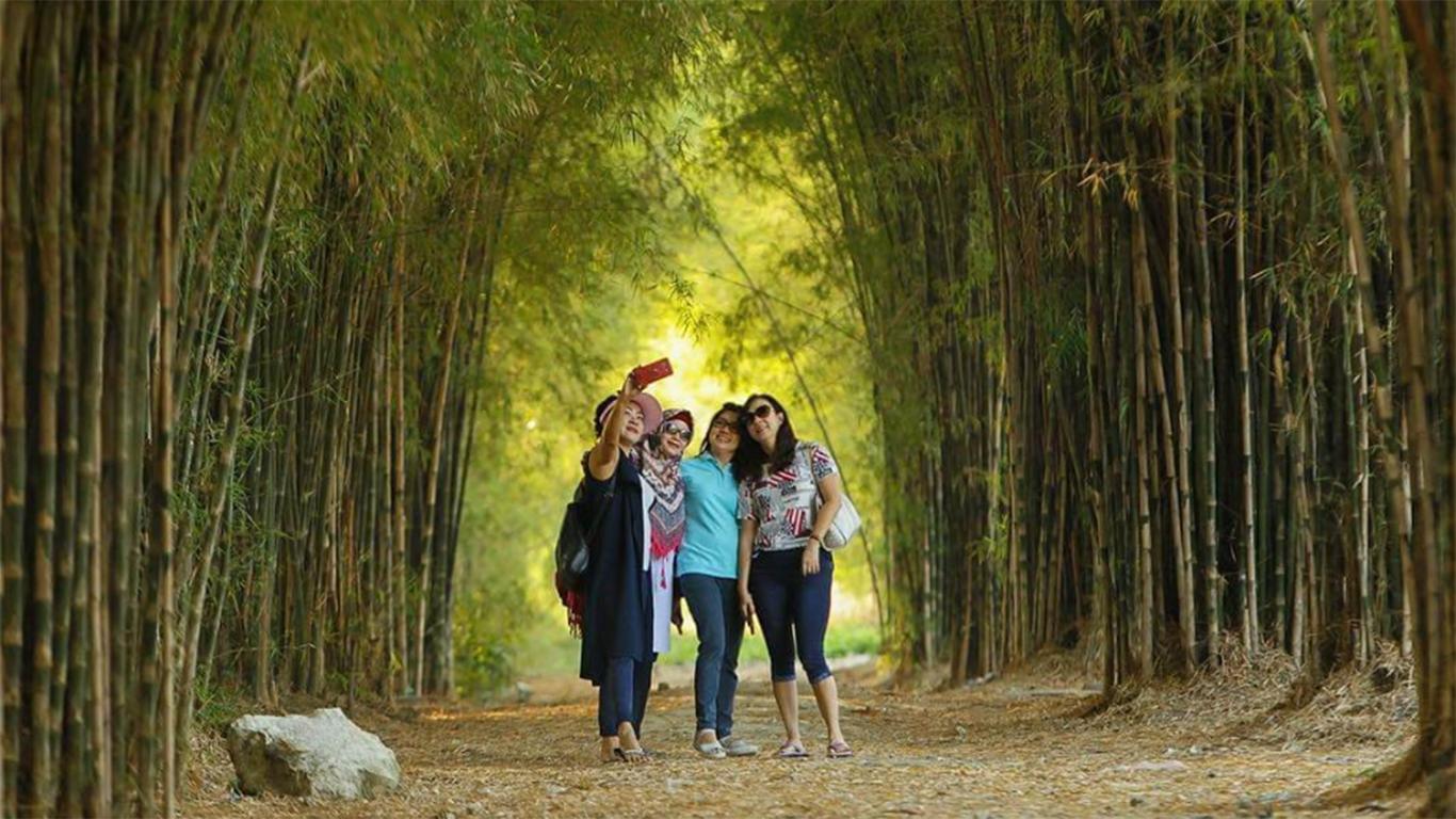 hutan bambu keputih surabaya