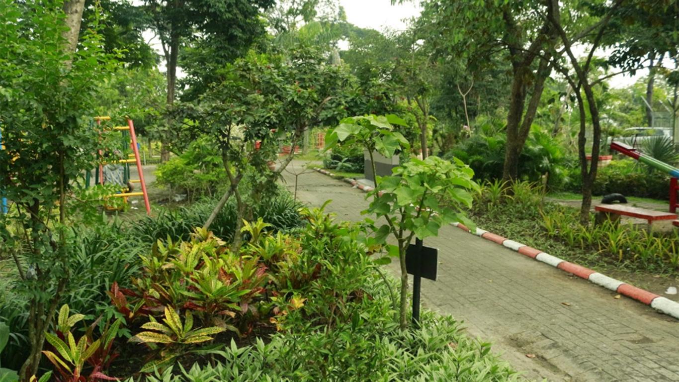 kebun bibit 2 wonorejo surabaya