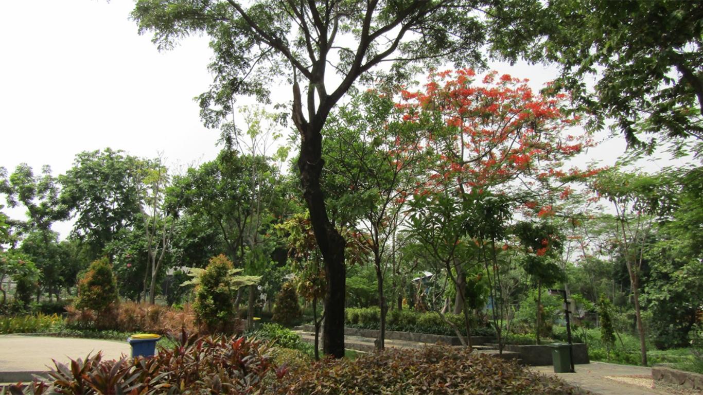 kebun bibit bratang surabaya