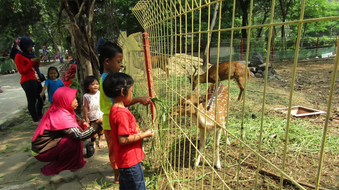 lokasi kebun bibit 2 surabaya