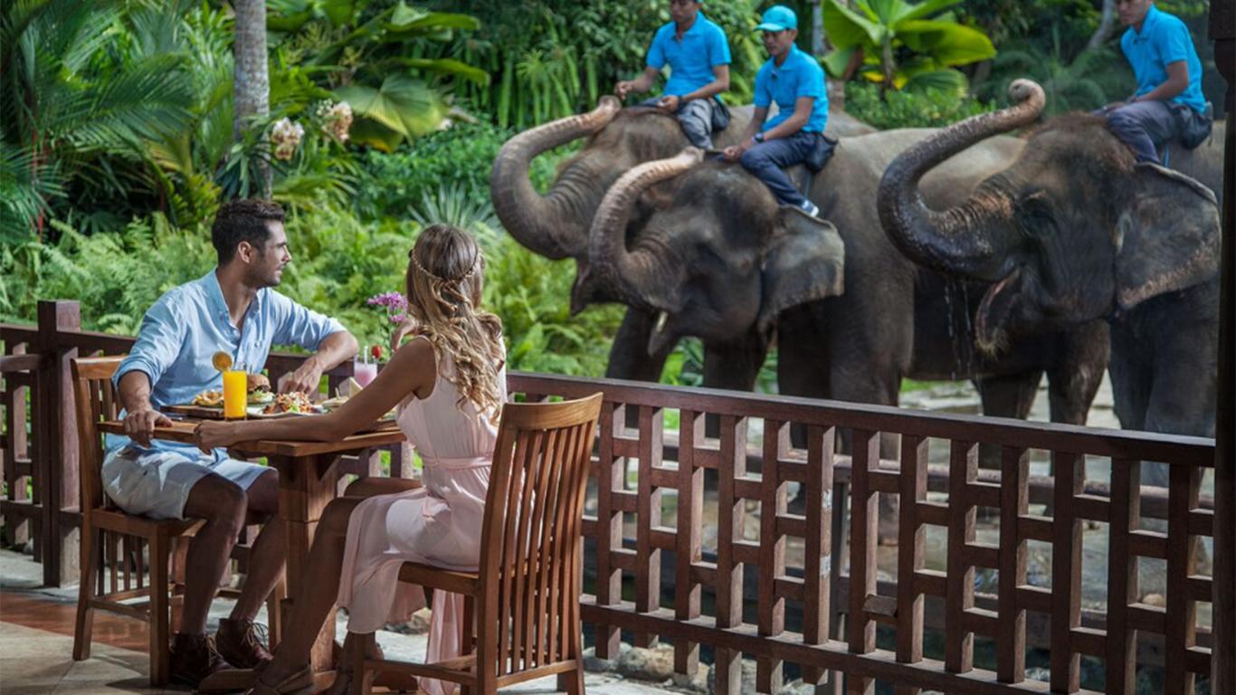 makan bersama gajah