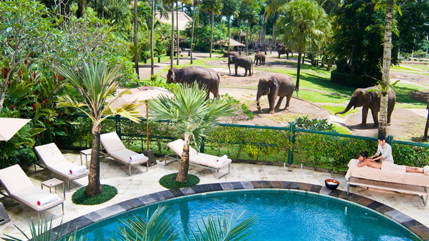 mason elephant lodge