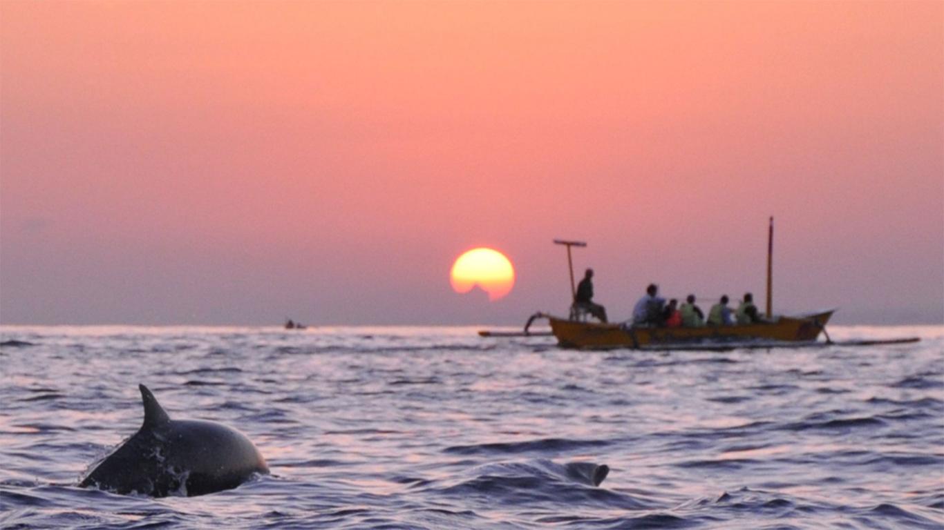 pantai lovina bali lumba lumba