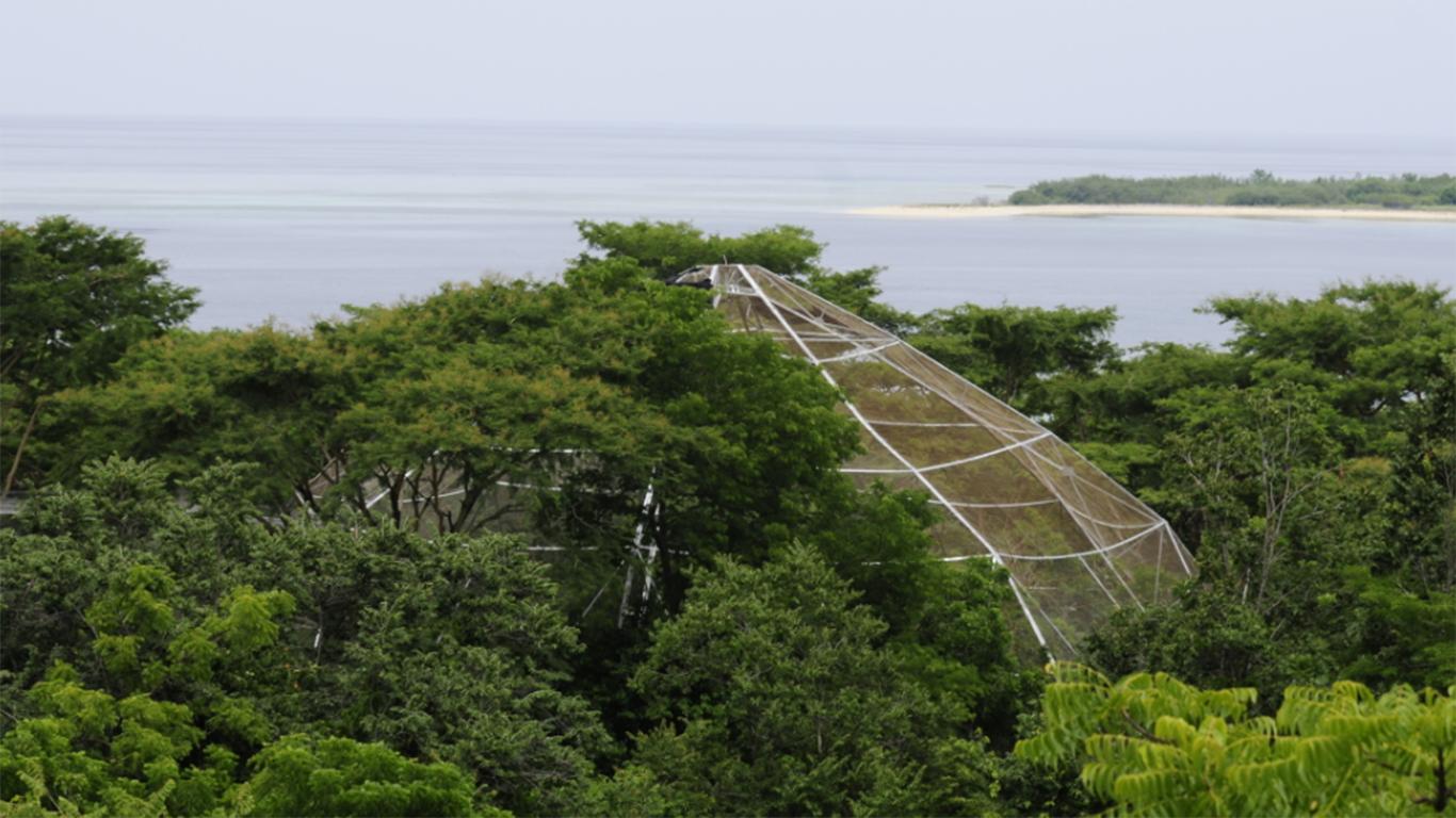 √ Taman Nasional Bali Barat Sejarah, Lokasi, Objek Wisata