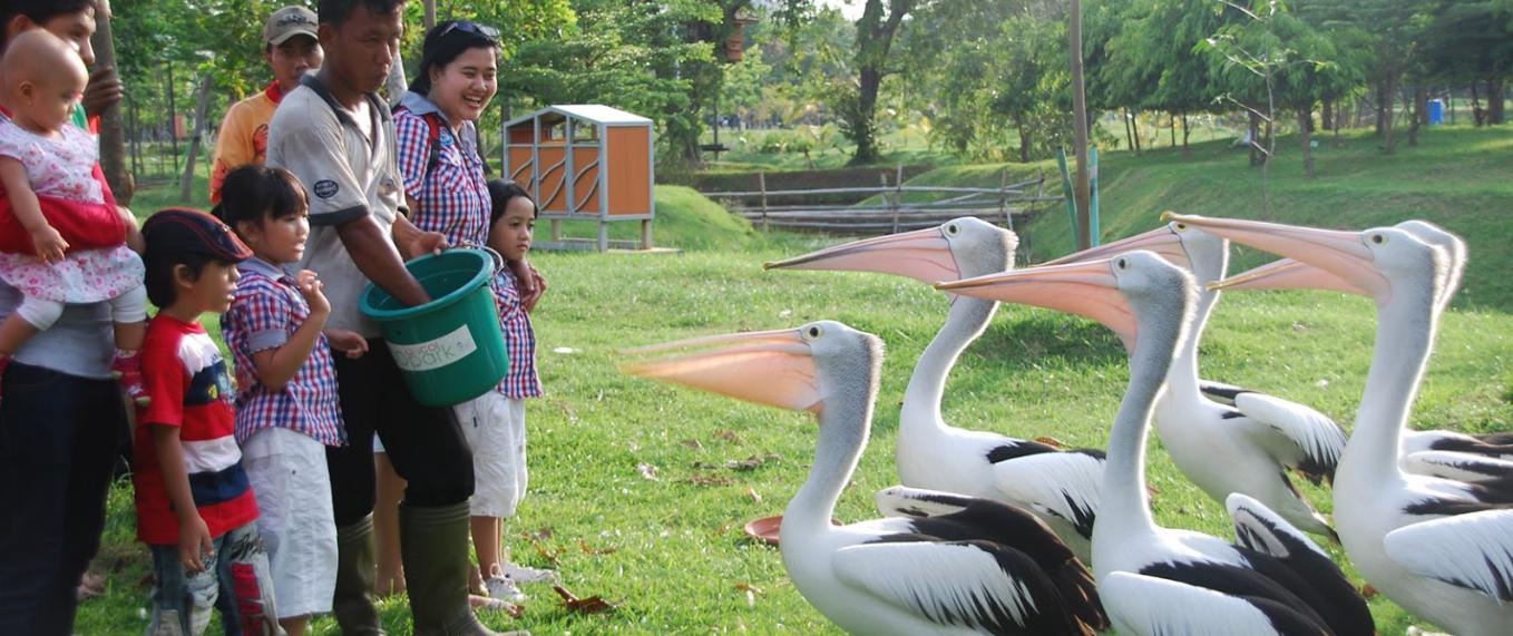 Ecopark Ancol Wahana Fasilitas Alamat Jam Htm