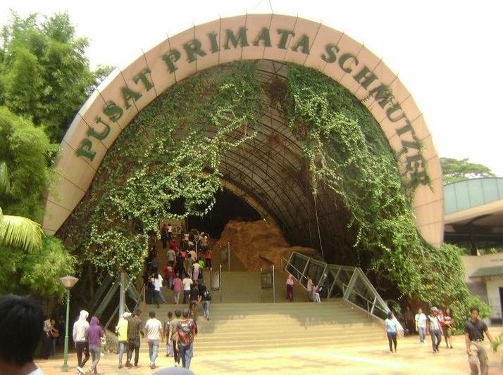 Ragunan Primata Schmutzer