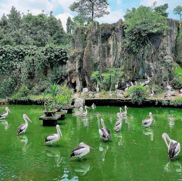 cerita mistis kebun binatang ragunan