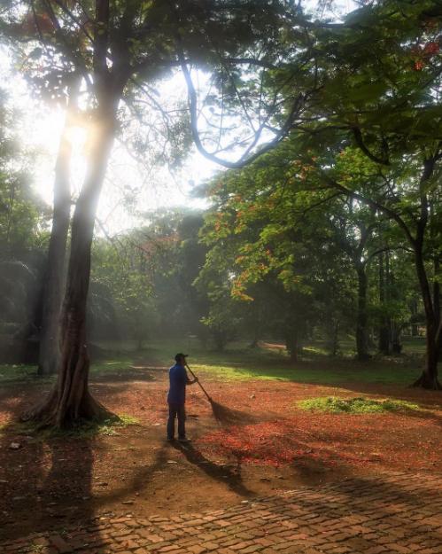 kebun binatang ragunan jakarta