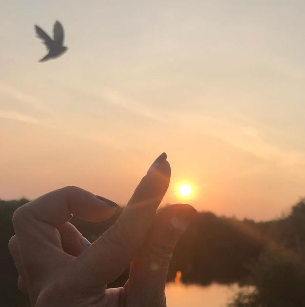 mangrove pik