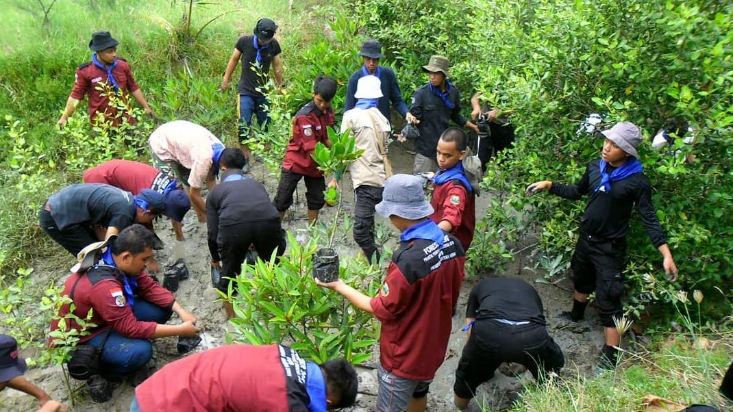 penginapan hutan mangrove pantai indah kapuk