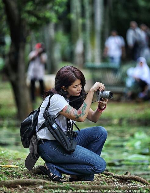 taman langsat mayestik