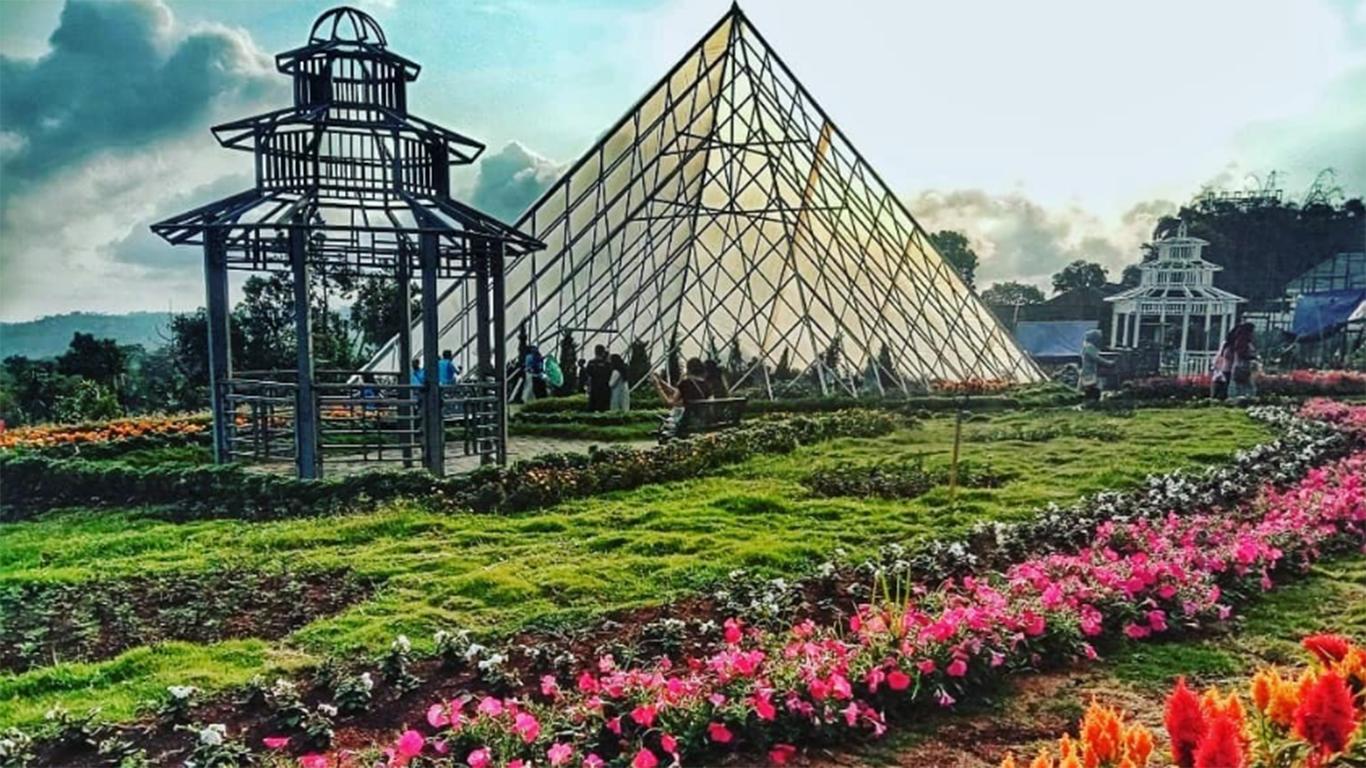 √ Taman Bunga Celosia: Keindahan, Alamat, Harga Tiket Masuk