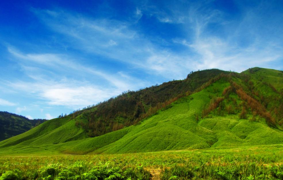 Bukit Teletubbies Batu: Review & Harga Tiket (2021)