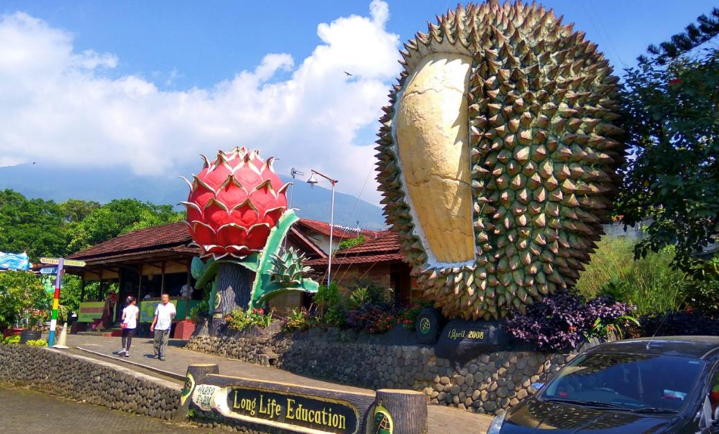 Kebun Durian Warso Farm: Aktivitas & Harga Tiket 2022