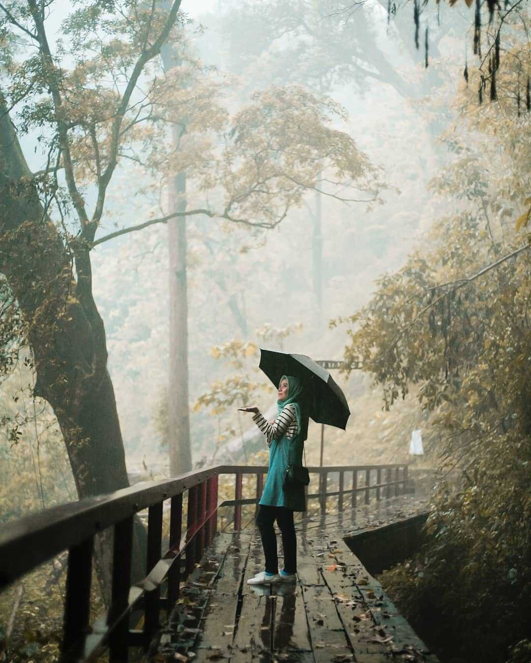 air terjun curug lawe benowo kalisidi