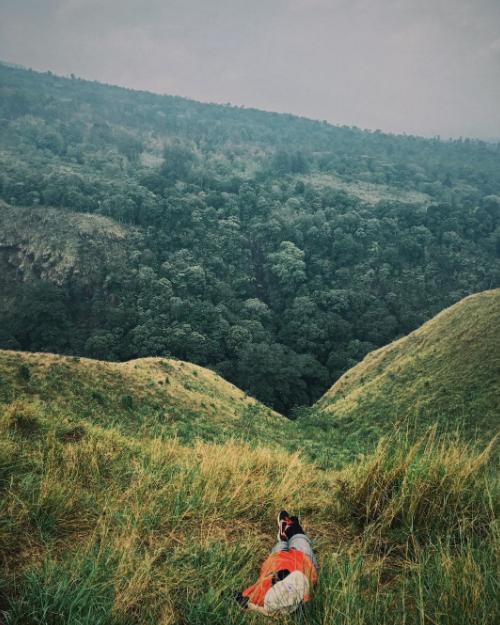 budug asu malang