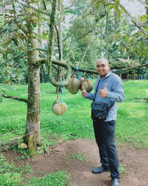 kebun durian warso farm