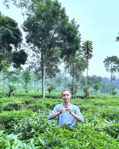 makalah kebun teh wonosari malang