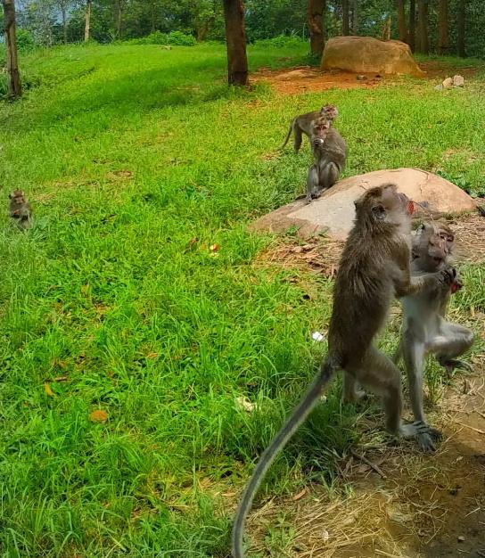 mitos gunung batu jonggol