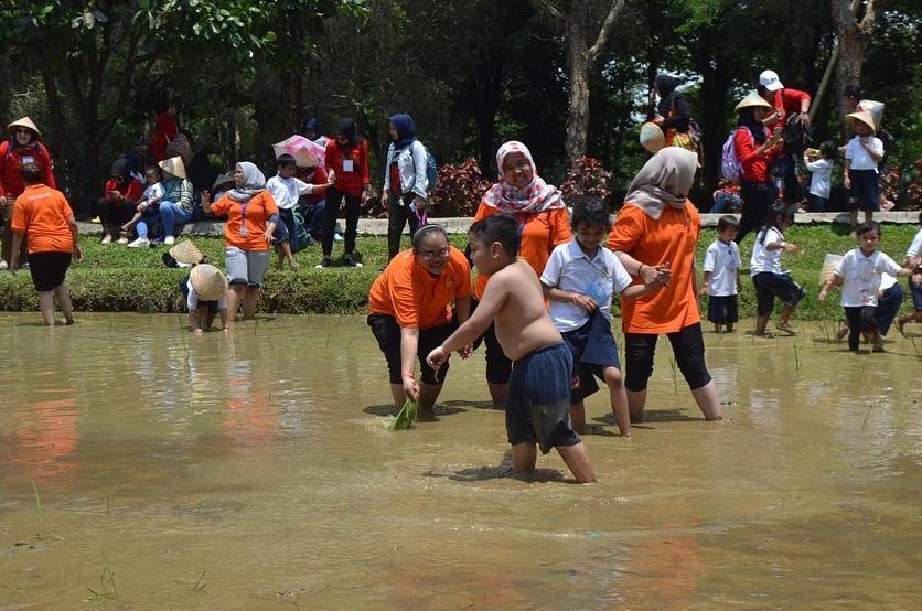 puri harmoni pasir mukti