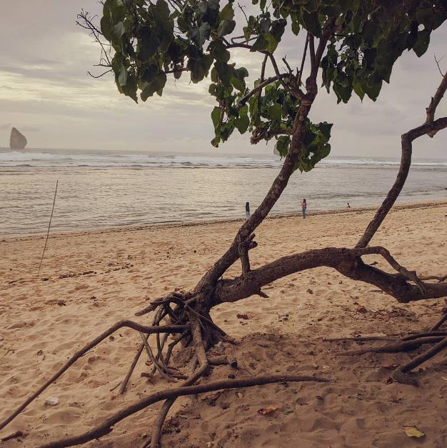 sejarah pantai tamban