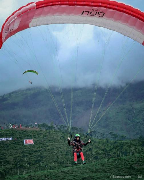 wisata kebun teh wonosari