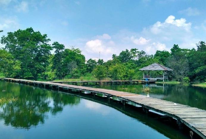 Arboretum Universitas Riau