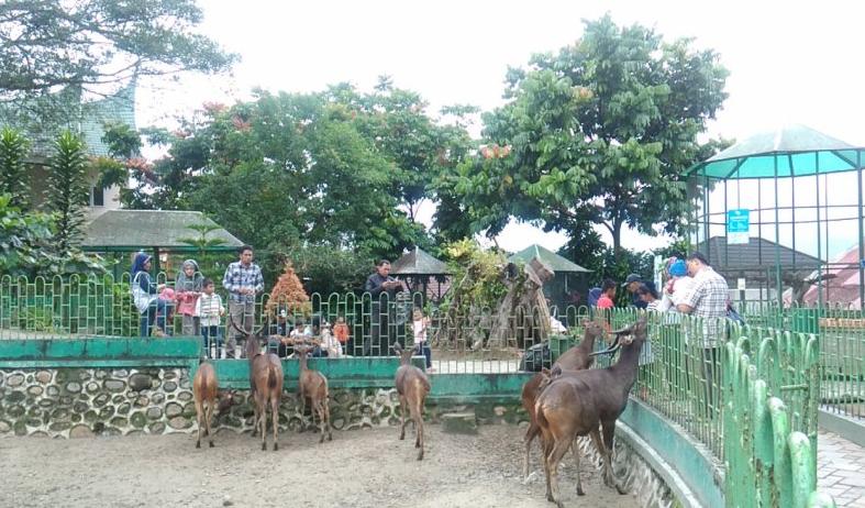 Kebun Binatang Bukittinggi