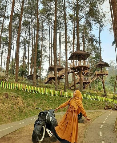 kamar penginapan the lawu park