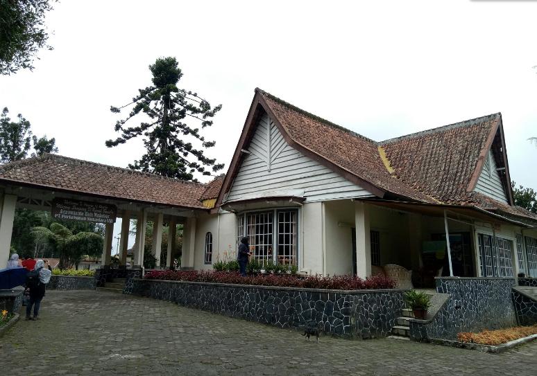 perkebunan teh cukul pangalengan