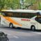 Harga Tiket Bus Gunung Mulia